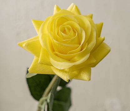 Rose décorative