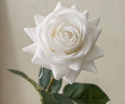 Rose décorative