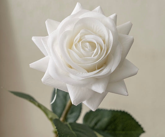 Rose décorative