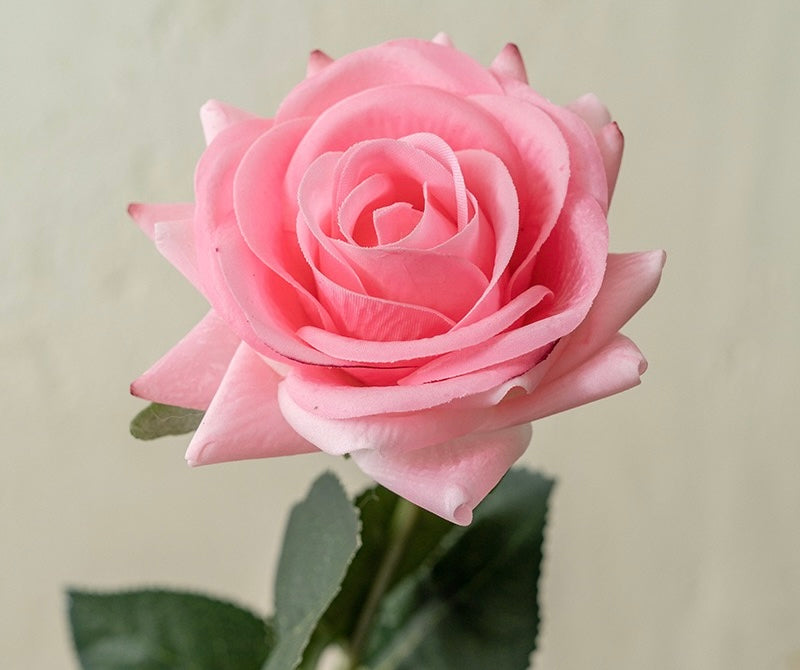 Rose décorative