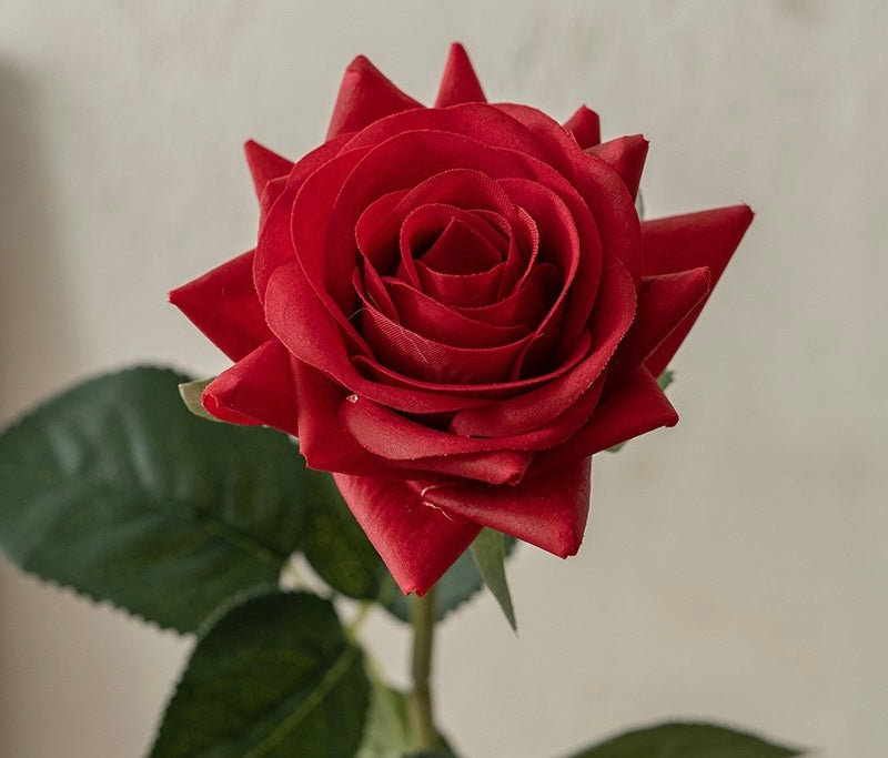 Rose décorative