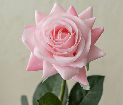 Rose décorative