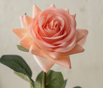Rose décorative
