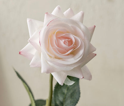 Rose décorative