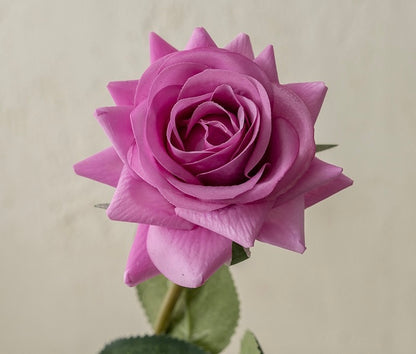 Rose décorative