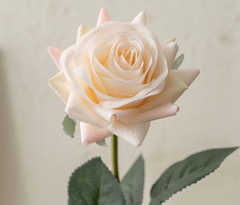 Rose décorative